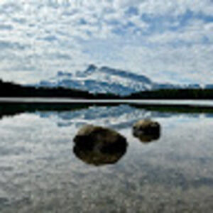 Meet your Posher, Sophia